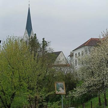 31-20260414_103446 - Mirjam Č